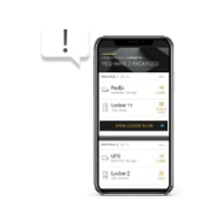Phone with notification